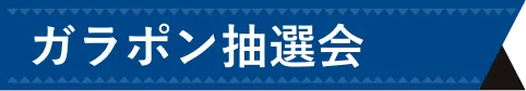 ガラポン抽選会