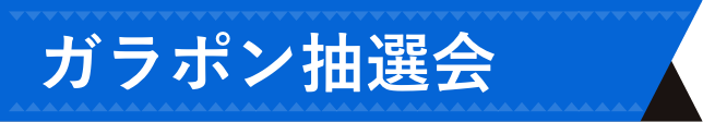 ガラポン抽選会