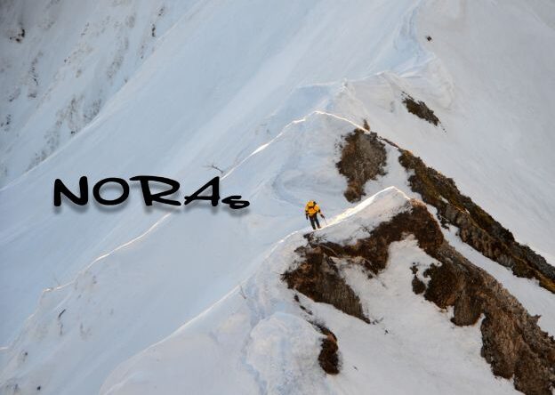 NORAs